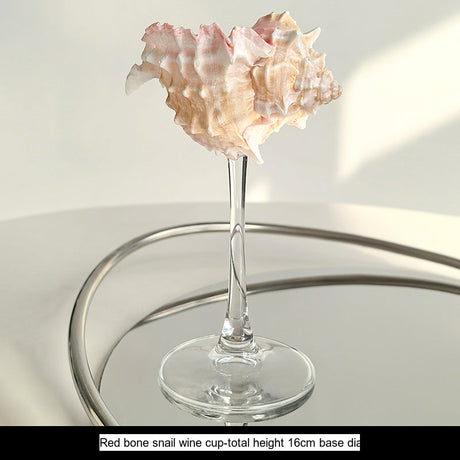 LIVETAI Marisol Elegant Natural Conch Shell Goblet from LIVETAI