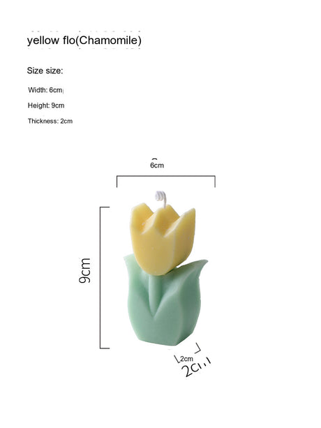 LIVETAI Santiago Floral Scented Aromatherapy Candle from LIVETAI