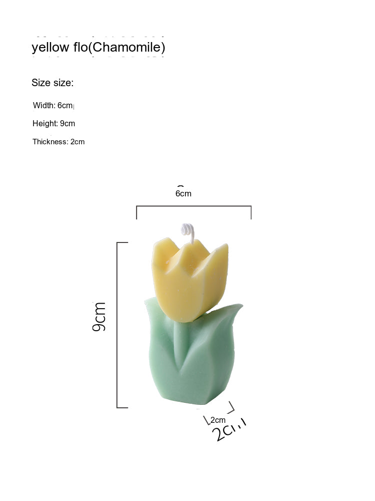 LIVETAI Santiago Floral Scented Aromatherapy Candle from LIVETAI