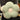 PEANUTS Thimbuktu Cozy Supportive Cushion Pillow from PEANUTS