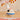 GUANQU Lysandra Whimsical Laptop & Jewelry Storage Table Decor from GUANQU