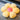 MESSIAH Isolde Vibrant Cozy Cushion Pillow from MESSIAH