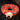 MESSIAH Kenji Cozy Round Cushion Pillow from MESSIAH