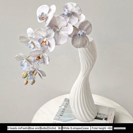 LIVETAI Marisol Elegant Modern Glass Vase from LIVETAI