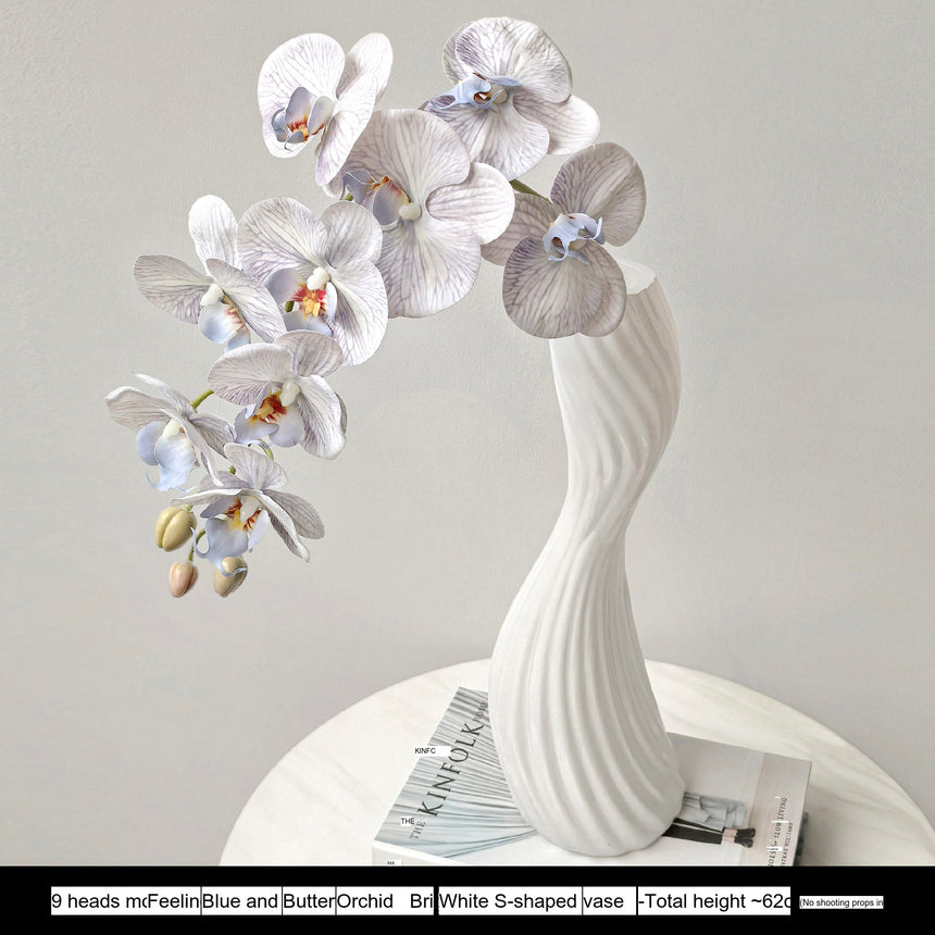 LIVETAI Marisol Elegant Modern Glass Vase from LIVETAI