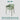 ABOUT WHITE Isadora Scandinavian Ergonomic Dining Chair from ABOUT WHITE