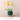LIVETAI Aisling Modern Scandinavian Aesthetic Flower Pot Decoration from LIVETAI