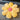 MESSIAH Juniper Soft Floral Tatami Office Pillow from MESSIAH