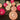 LITTLE DOVE Aisling Whimsical LED Nightlight Decorations from LITTLE DOVE