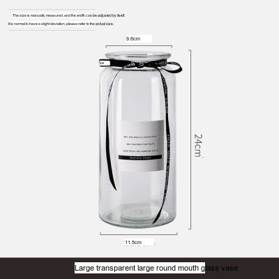LIVETAI Athos Elegant Transparent Flowerpot Small Vase from LIVETAI