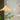 BOJI Kaori Tranquil Colorful Lanterns - Zen Lampshade Collection from BOJI