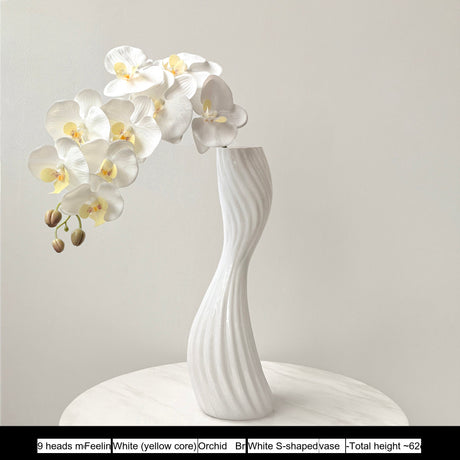 LIVETAI Marisol Elegant Modern Glass Vase from LIVETAI