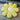 MESSIAH Juniper Soft Floral Tatami Office Pillow from MESSIAH