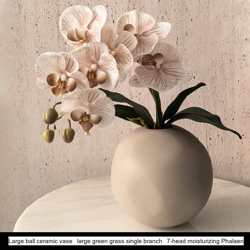 LIVETAI Marisol Elegant Round Ceramic Vase from LIVETAI