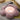 PEANUTS Aisling Floral Comfort Tatami Pillow from PEANUTS