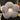 PEANUTS Thimbuktu Cozy Supportive Cushion Pillow from PEANUTS