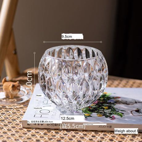 JUHAN Candelaria Glossy Transparent Round Flower Pot - Elegant Living Room Decoration from JUHAN