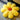 MESSIAH Elowen Solar-Powered Modern Sofa Pillow - Sunflower Design from MESSIAH