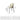 SOOGOOD Lichtenstein Elegant Shell Dining Chair from SOOGOOD