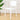 WANMEI Araceli Vintage Edged Stackable Dining Chair from WANMEI