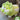 MESSIAH Juniper Comfort Luxury Pillow from MESSIAH