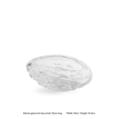 VAVINCI Santiago Sleek Transparent Glossy Coffee Table from VAVINCI