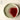 JOTO Katsumi Elegant Handcrafted Ceramic Plate from JOTO