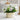 GUANQU Isolde Scandinavian Elegant Plant Lamp Decor from GUANQU