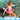DUJIA Lysandra Colorful Inflatable Penguin Pool Float from DUJIA
