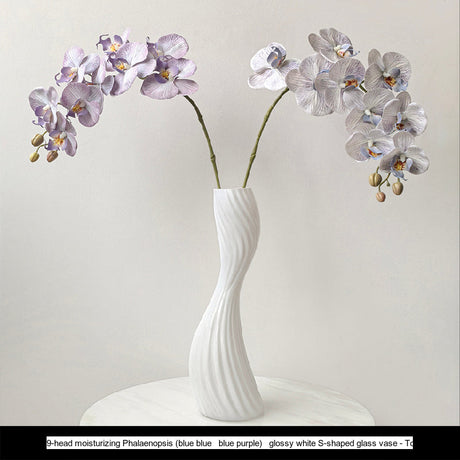 LIVETAI Marisol Elegant Modern Glass Vase from LIVETAI