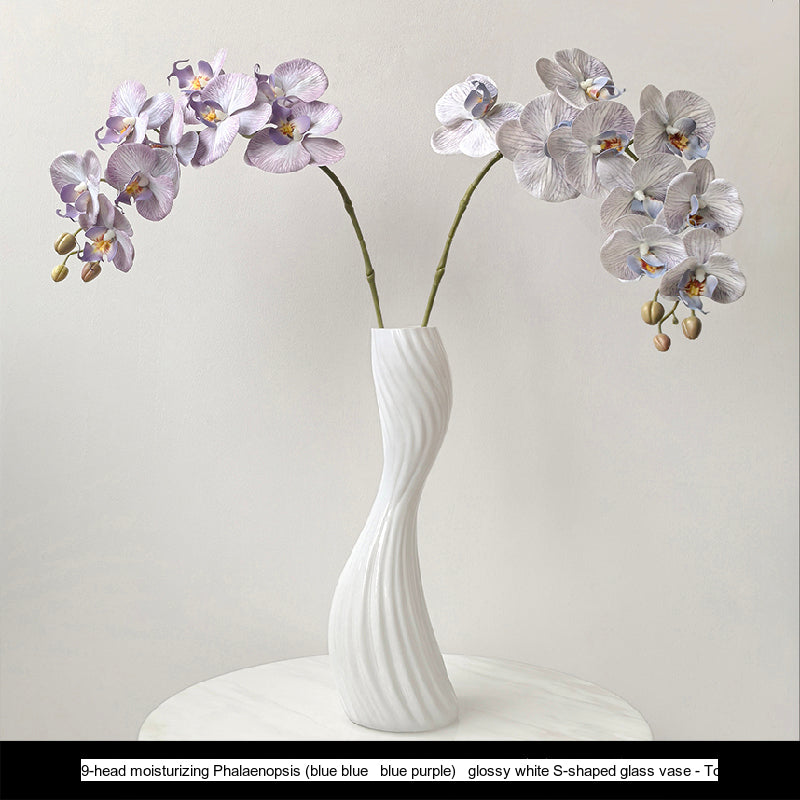 LIVETAI Marisol Elegant Modern Glass Vase from LIVETAI