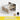 MUTINI Isabella Elegant Modern Office Desk & Chair Set from MUTINI