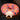 MESSIAH Kenji Cozy Round Cushion Pillow from MESSIAH