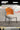 WANMEI Isolde Elegant Lightweight Dining Chair from WANMEI