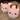 DANDELION Marisol Cozy Cartoon Indoor Slippers from DANDELION