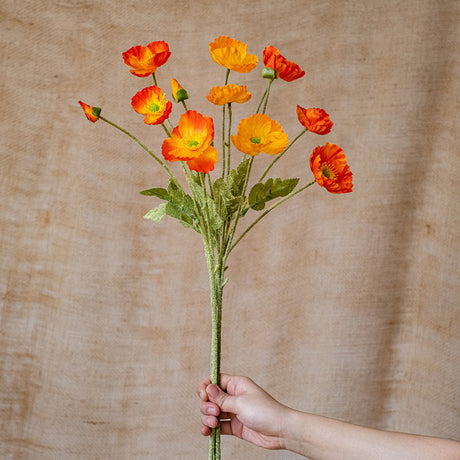 JUHAN Astrid Lush Dazzling Puppet Flower Arrangement from JUHAN