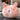 MESSIAH Jindong Adorable Cozy Winter Pillow from MESSIAH
