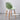 NIYE Sakamoto Versatile Casual Dining Chair from NIYE