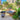 ZIYE Isadora Elegant Rattan Lounge Chair from ZIYE