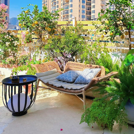 ZIYE Isadora Elegant Rattan Lounge Chair from ZIYE