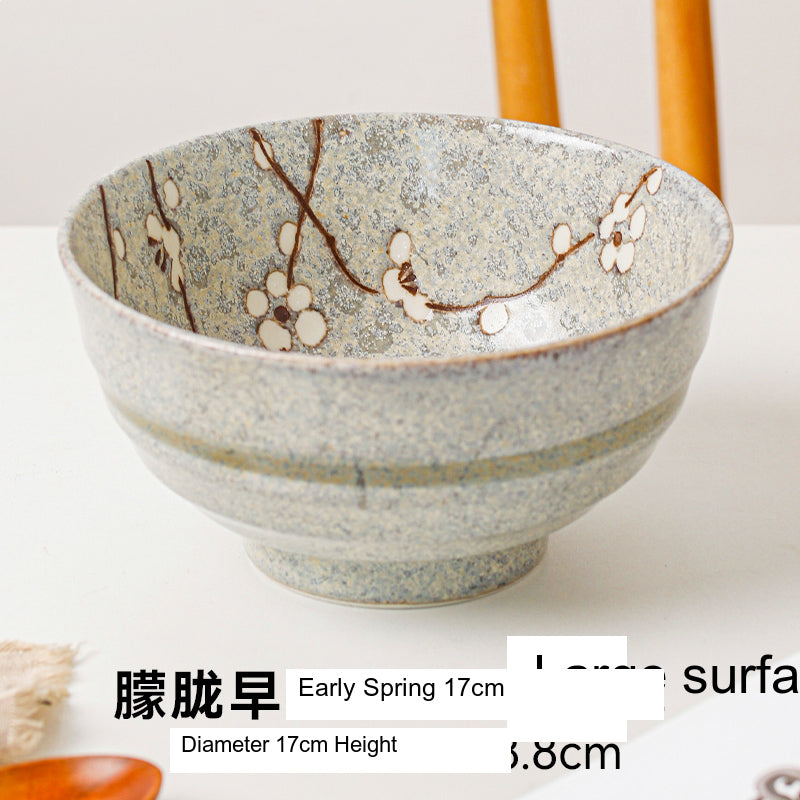 OKADA YAKI Five-Color Noodle Bowl Set from OKADA YAKI