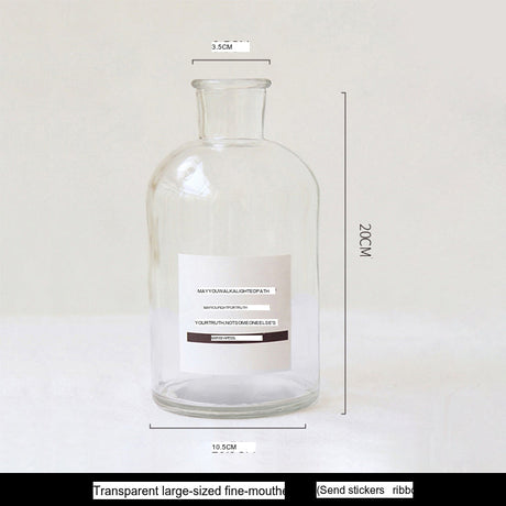 LIVETAI Athos Elegant Transparent Flowerpot Small Vase from LIVETAI