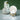 LIVETAI Esmeralda Dreamy Ambient Lantern Gift from LIVETAI