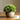 JUHAN Isolde Lush Greenery Decorative Potted Plant from JUHAN