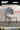 WANMEI Isolde Elegant Lightweight Dining Chair from WANMEI