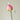 JUHAN Isadora Lush Handmade Green Plant Decorative Ornament from JUHAN