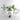 ZIYE Marisol Elegant Patio Set - Garden Chair & Table Combination from ZIYE