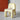THOUGHTS Elowen Stylish Plastic Kids Chair from THOUGHTS