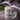 TIANRUN Zafira Elegant Glass Tooth Enamel Cup from TIANRUN
