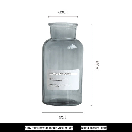 LIVETAI Athos Elegant Transparent Flowerpot Small Vase from LIVETAI